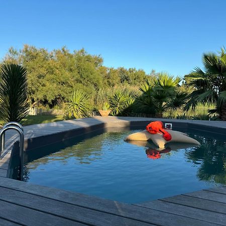 Cabane Le Flamant Avec Jardin, Piscine Et Parking Saintes-Maries-de-la-Mer Buitenkant foto