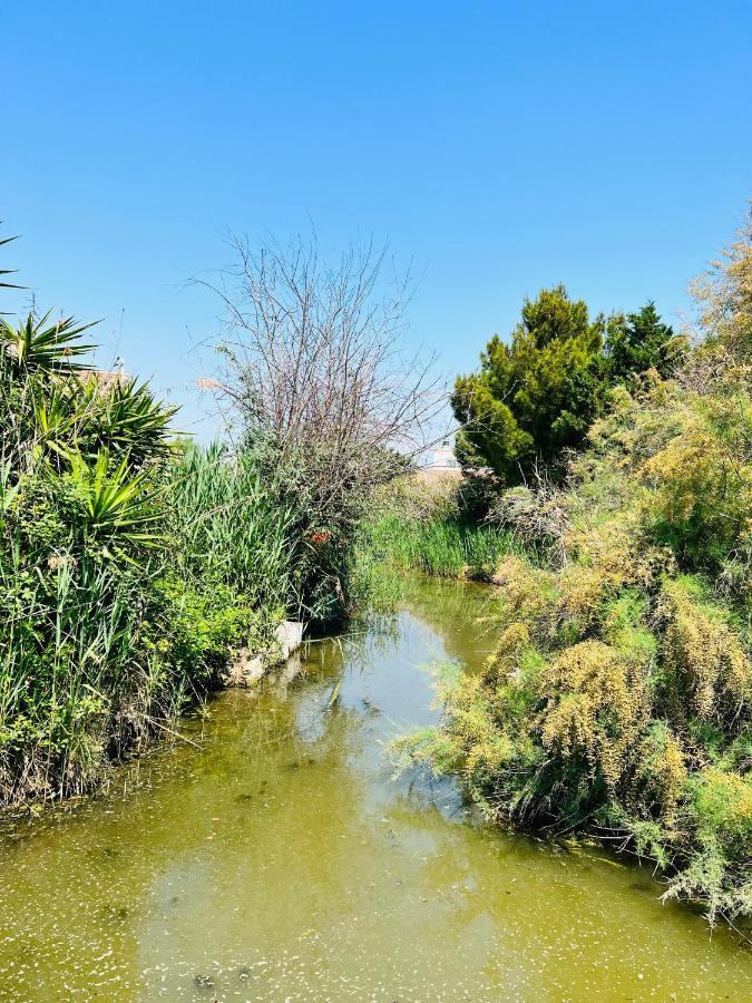 Cabane Le Flamant Avec Jardin, Piscine Et Parking Saintes-Maries-de-la-Mer Buitenkant foto
