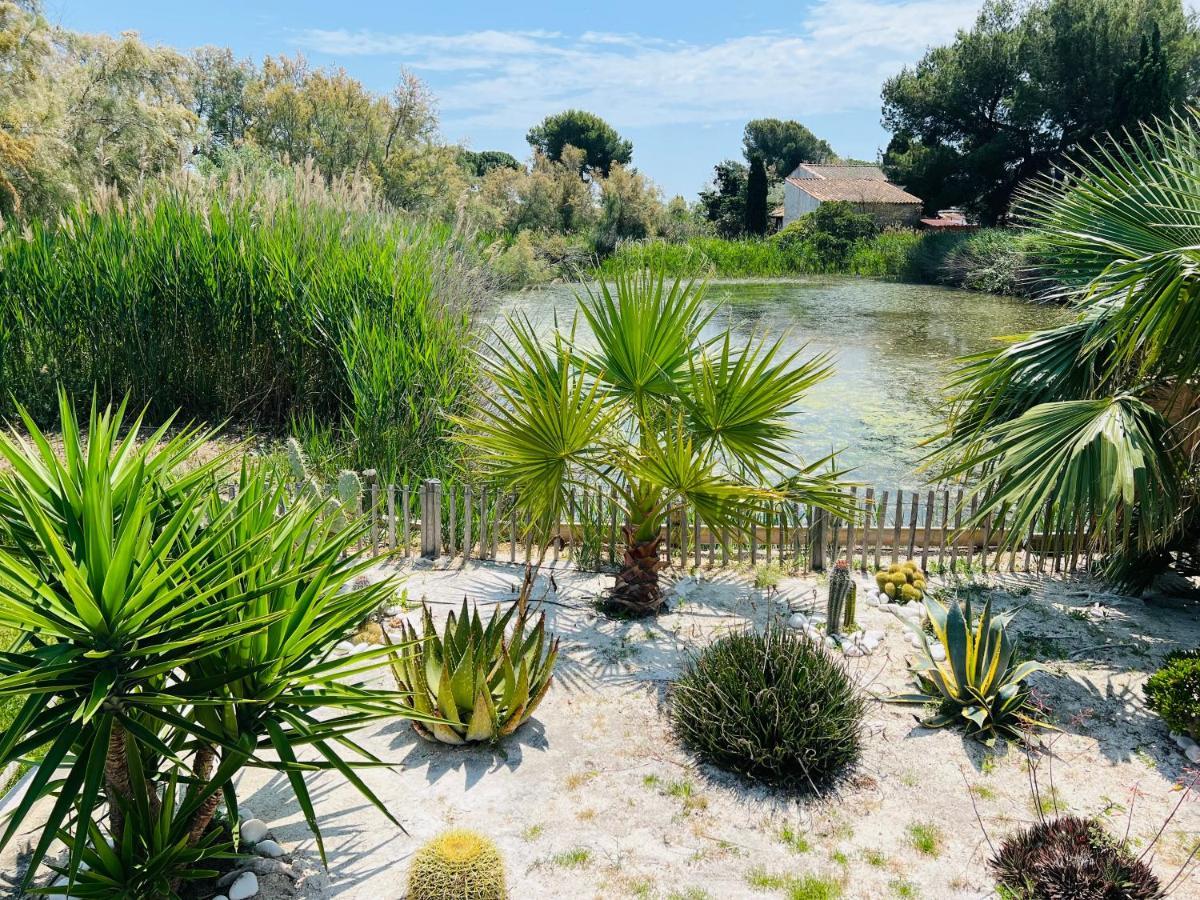 Cabane Le Flamant Avec Jardin, Piscine Et Parking Saintes-Maries-de-la-Mer Buitenkant foto