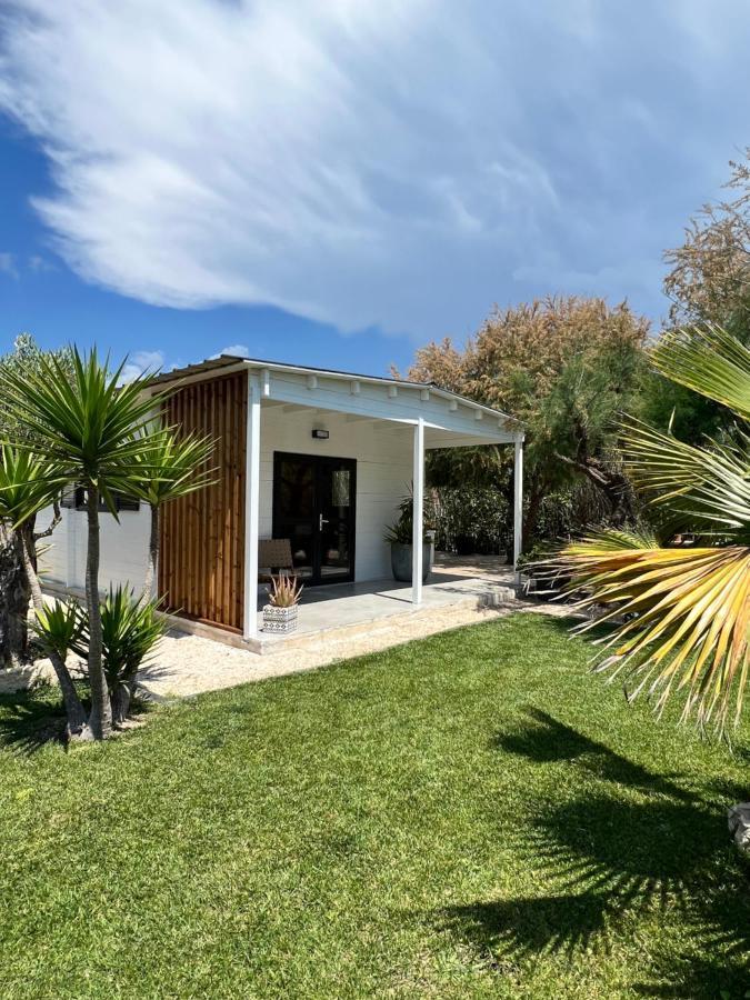 Cabane Le Flamant Avec Jardin, Piscine Et Parking Saintes-Maries-de-la-Mer Buitenkant foto