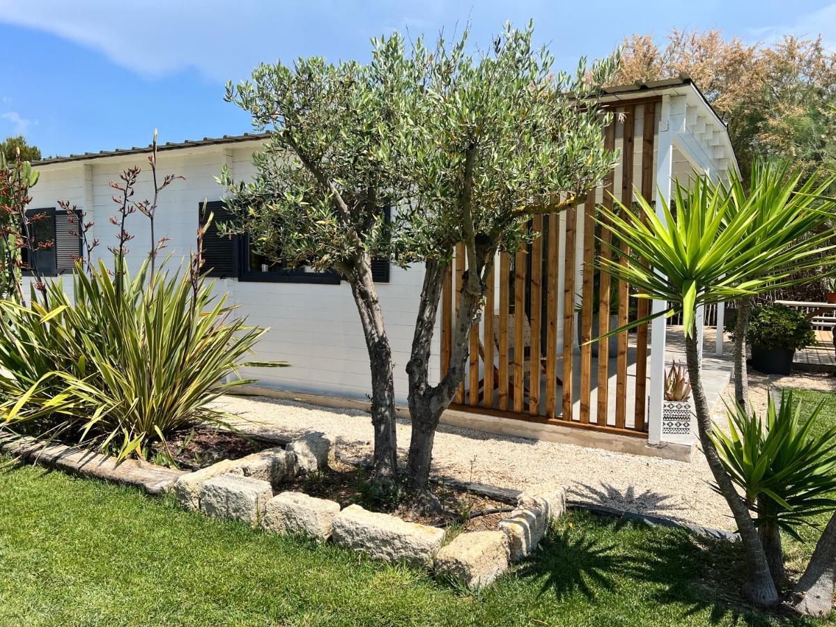 Cabane Le Flamant Avec Jardin, Piscine Et Parking Saintes-Maries-de-la-Mer Buitenkant foto